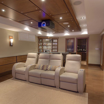 Custom Home Theatre