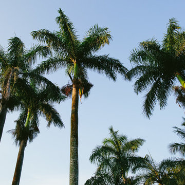 Fort Lauderdale, Florida - Landscape Design