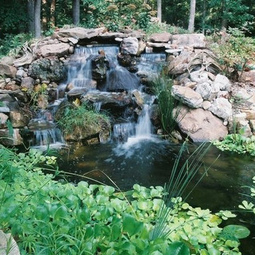 Pond builds