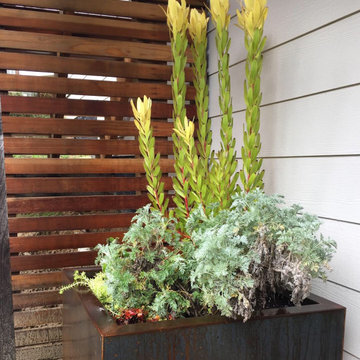 Container Heaven