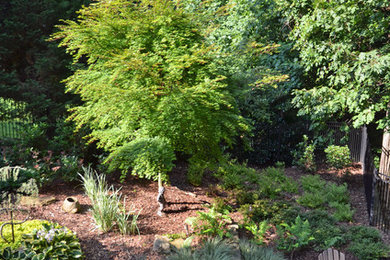 Design ideas for a traditional landscaping in Atlanta.