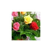 Aschira Marone's photo