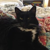 Mary Guy McConahy's photo