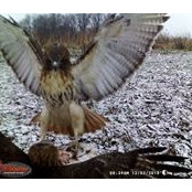 Larry Cadwell's photo
