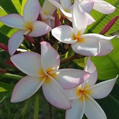 Carolyn Peake's photo