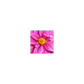 Jamie Butz's photo