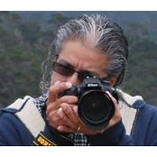 Joe Figueroa's photo