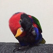 Rie Nakane's photo