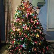 Joan Umland's photo