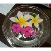 Marjie Garcia's photo