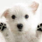 Delphine Butzig's photo