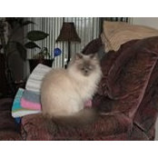 Natalie Hinz Mayer's photo