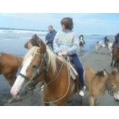 Roberta Williams's photo