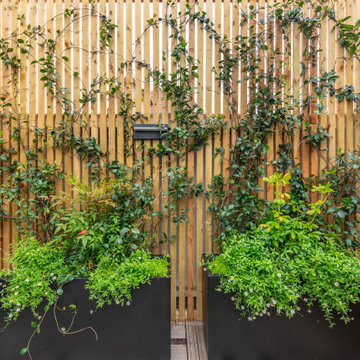 Fontenay-aux-Roses : Une terrasse de caractère entre élégance et verdure