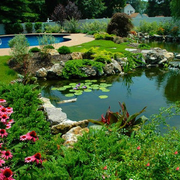 Twin ponds, one pond for fish, and one pond for water plants