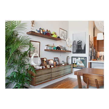 Collector's Apartment