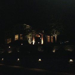 Crane Landscape - Lighting