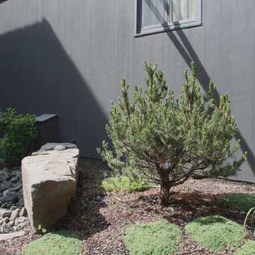 Cliff Park Modern