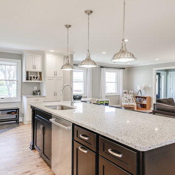 Cheat Lake: Living Room and Kitchen Renovation