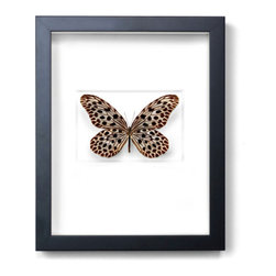 Wall Art - Products
