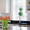 Design House 547695 Eastport ll Single Lever Handle Kitchen - Polished Chrome