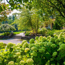 Front Landscape Ideas