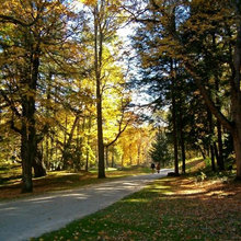 Natureza