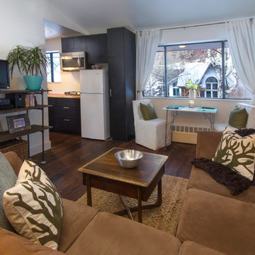 Telluride Condo