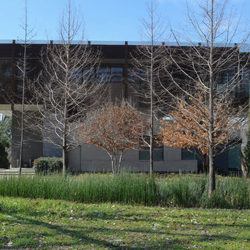 My Houzz: A Modern Approach to Efficient Living in Dallas