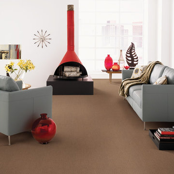 Tuftex Anso® Carpet