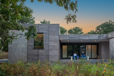 Small minimalist gray one-story wood and shingle exterior home photo in Boston