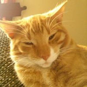 Lynn Settingsgaard's photo
