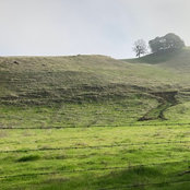 S Smith's photo