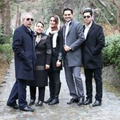 Shima Shojas foto