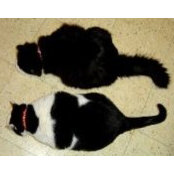 Brandi Andrade's photo