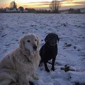 Lydia Browne's photo