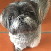 Diane Avery Van Handel's photo