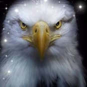Lloyd Riggins's photo