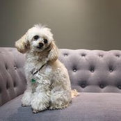 Kris Brujic's photo