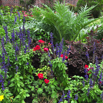 Cottage-style front yard in Braeswood Place