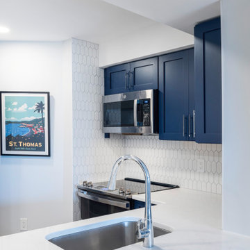 Transitional Kitchen Project in Old Town, Alexandria VA