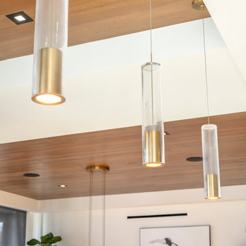 239 Carnation - Custom Modern Contemporary Home in Corona Del Mar, 2020