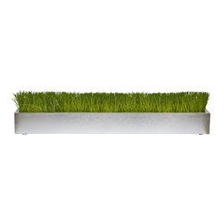Wheatgrass Aluminum Trough - Products