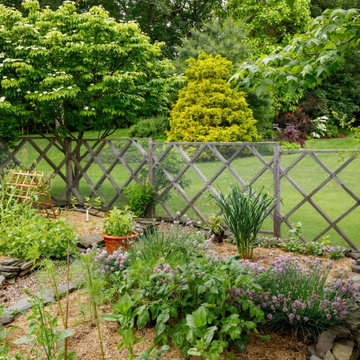 Mature Garden