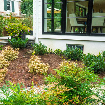 Bala Cynwyd Perfection