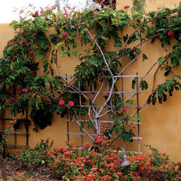Encinitas Ranch Landscape Design