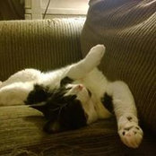 Jeanne Whitlock's photo