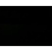 Sahar El-Bahr's photo