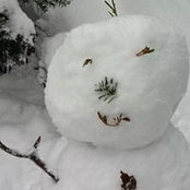 Foto von Jennifer Matson Andrews