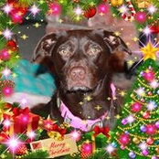 Sheila Kackley's photo